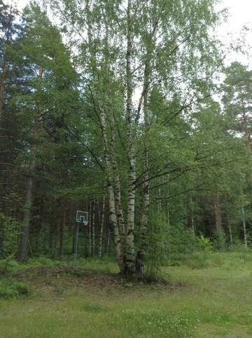 Фото номера Коттедж с 3 спальнями Дома для отпуска Unien Koti Cottage г. Mattila 18